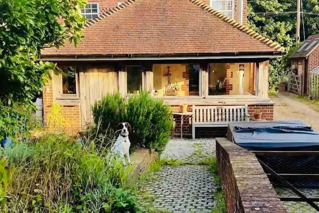 Nature Charm & Fruit Delights, Multi-Generation Celebratory Home -Try, Relax, Repeat - Sellindge Ashford  Eksteriør billede
