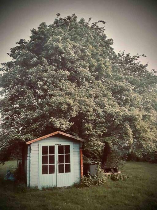 Nature Charm & Fruit Delights, Multi-Generation Celebratory Home -Try, Relax, Repeat - Sellindge Ashford  Eksteriør billede