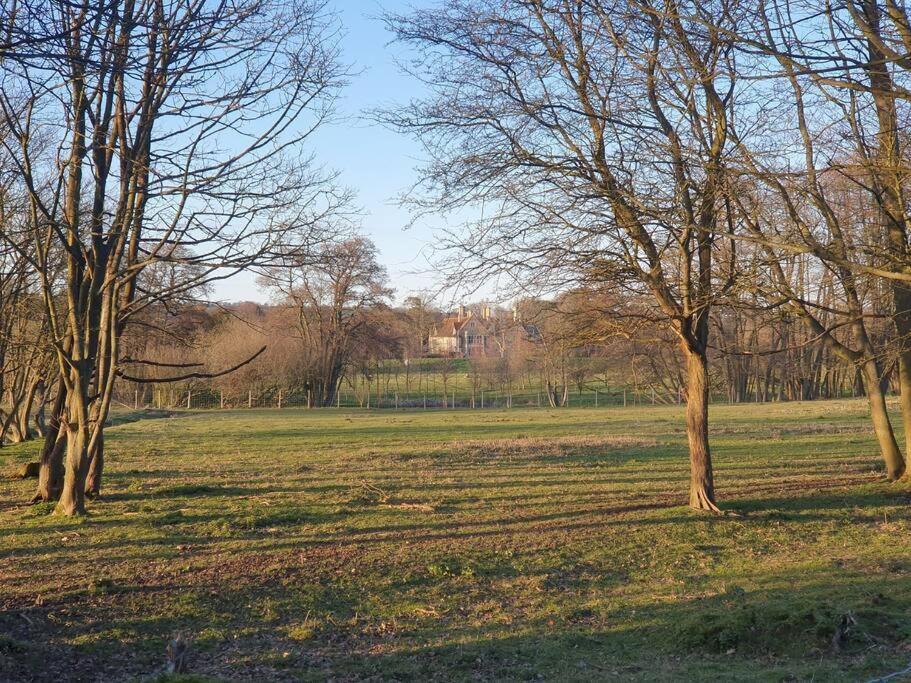 Nature Charm & Fruit Delights, Multi-Generation Celebratory Home -Try, Relax, Repeat - Sellindge Ashford  Eksteriør billede