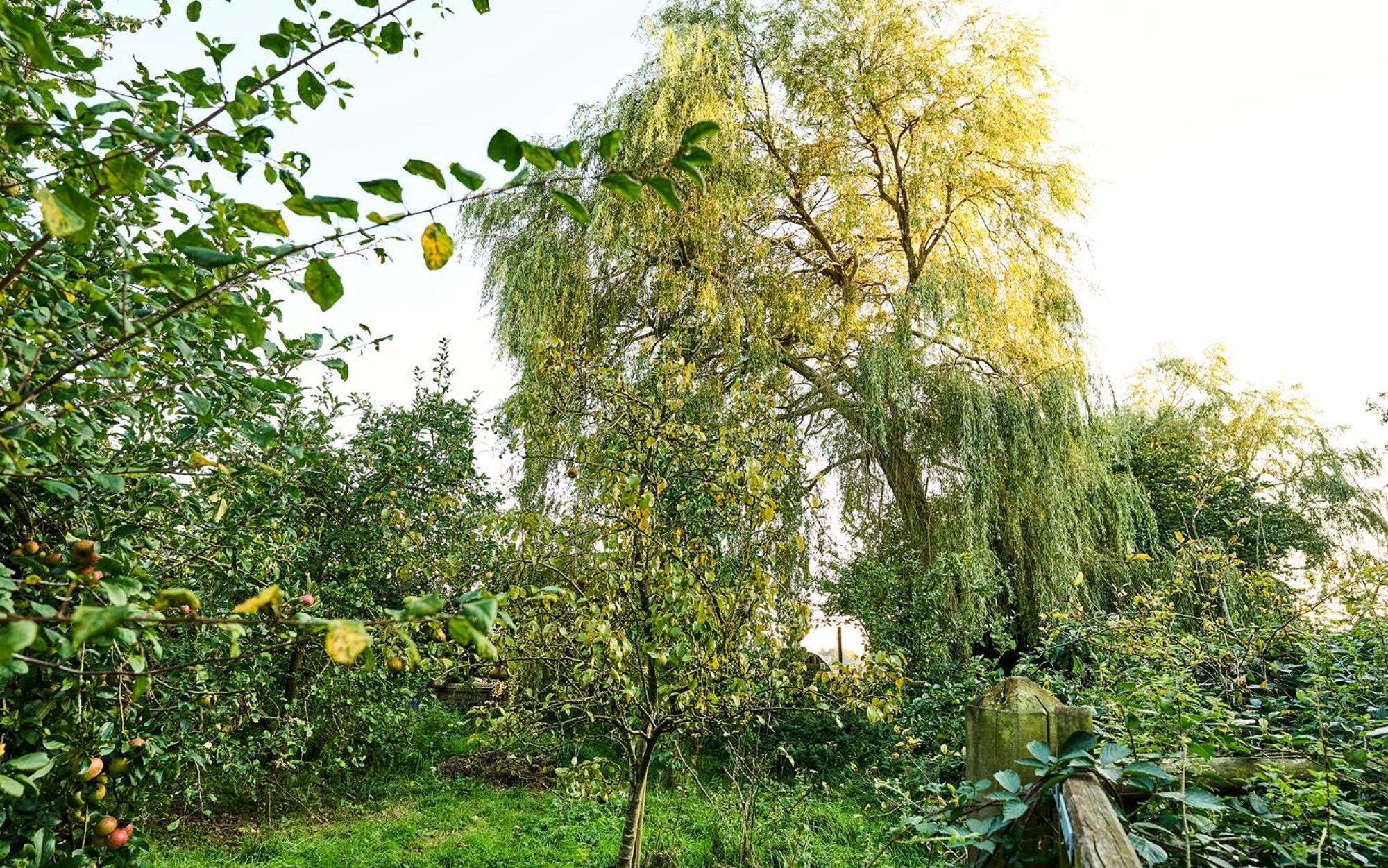 Nature Charm & Fruit Delights, Multi-Generation Celebratory Home -Try, Relax, Repeat - Sellindge Ashford  Eksteriør billede